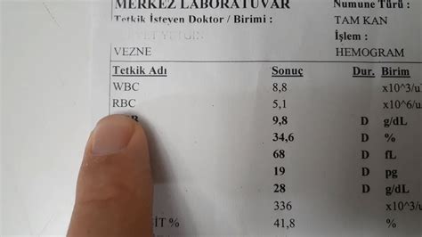 Hemogram Nedir Ne Demek Testi Nedir Nas L Yap L R Ne Kadar S Rer