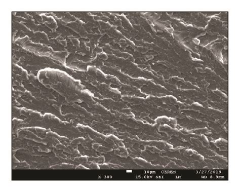 Sem Micrographs Of Tensile Fractured Surface Of A Neat Polyester B