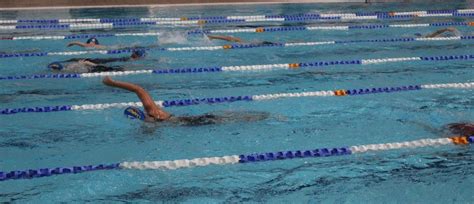 Crawley Swimming Club Squads