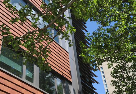 front college houses academic services