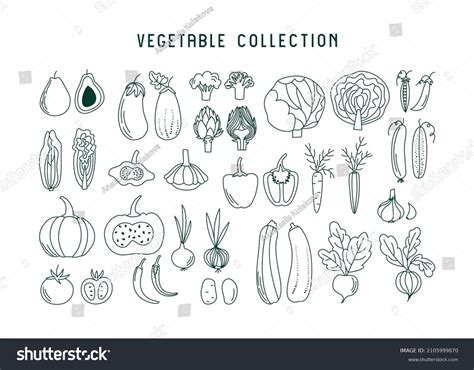 set  vegetables  art style stock vector royalty