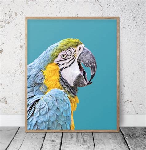 Parrot Artwork Turquoise Bird Printable Wall Art Modern Tropical