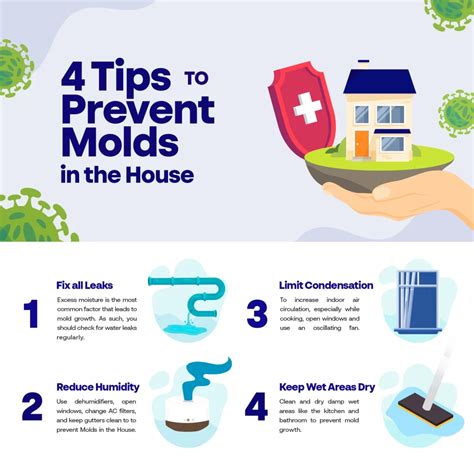 Mold Damage Prevention Tips - Deep Water Emergency Services