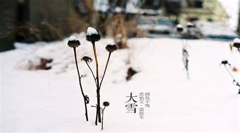 “大雪”节气 防寒保暖 祝你安康