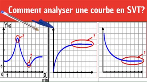 Graphique En Svt Modelisation Svt Aide Technique Diaporama De Hot Sex Hot Sex Picture