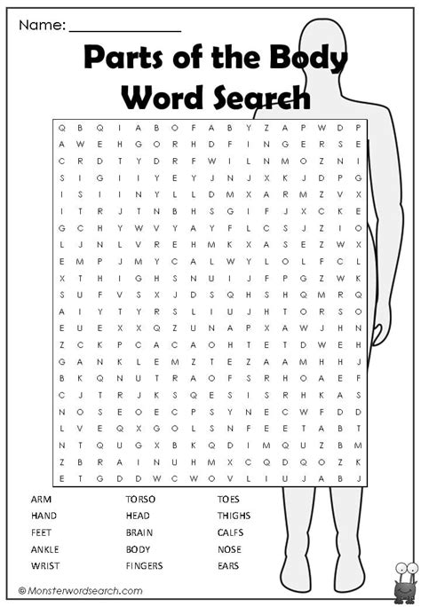 Body Part Word Search