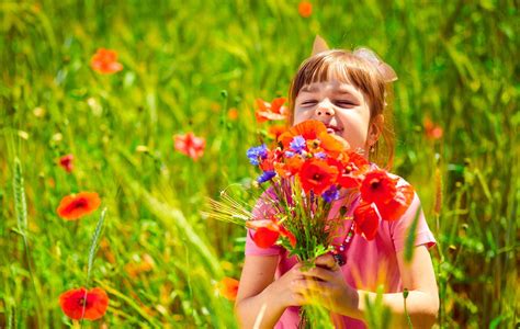 Wildflower Seeds For Cut Flower Bouquets | American Meadows