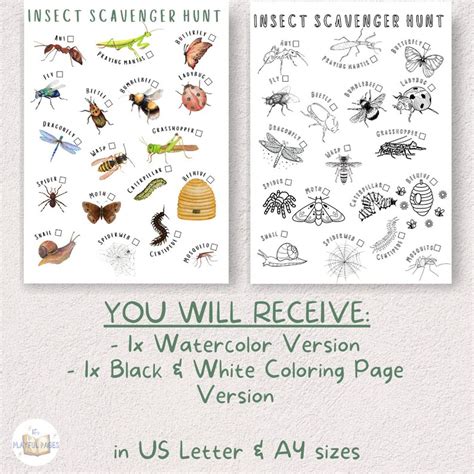 Insectnature Scavenger Hunt Printable Spring Bugs Outdoor Etsy