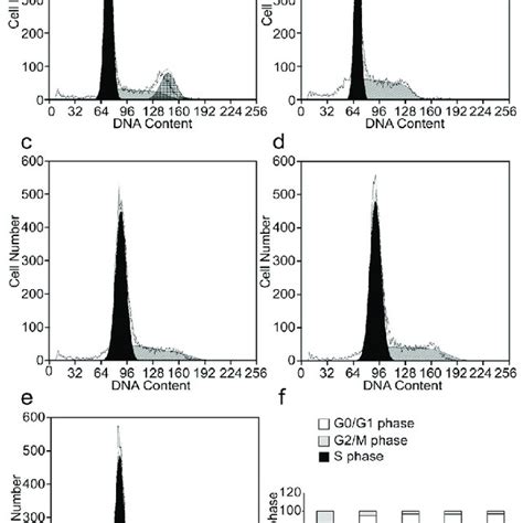 The Effects Of R Pe On Cell Cycle Arrest Of Sgc 7901 Cells A