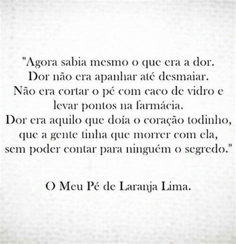 O Meu Pé de Laranja Lima José Mauro de Vasconcelos 1968 Pé de