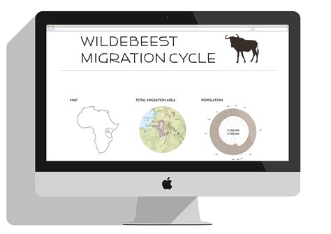 Wildebeest Migration Cycle Infographic On Behance