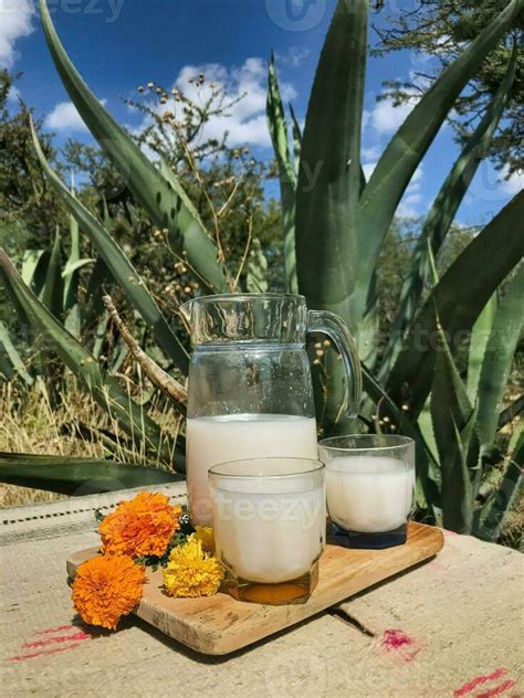 Savor The Flavors Of Mexico With Pulque A Refreshing Maguey Drink