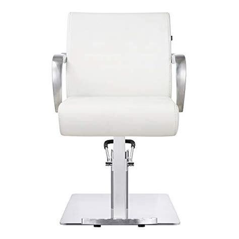 Dir Salon Shampoo Backwash Unit And Salon Styling Chair Combo Salon