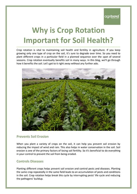 Why is Crop Rotation Important for Soil Health? by Agribond - Issuu