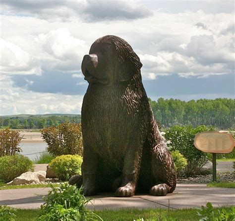 Tribute To Seaman A Newfoundland Dog Who Went On The Lewis And Clark