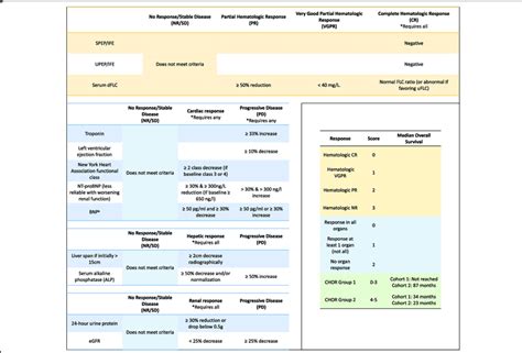 Criteria For Hematologic And Organ Response In Amyloidosis Spep Ife Download Scientific