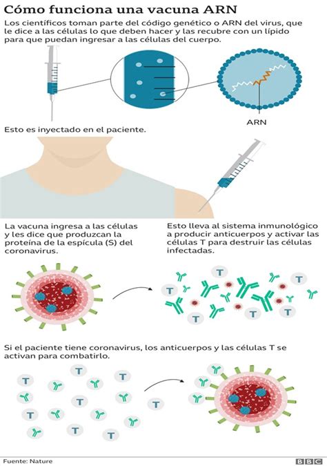 Vacunas Arnm Frente Al Sars Cov Un Nuevo Hito Para La Ciencia