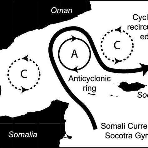 A schematic depiction of the observed ring formation mechanism ...