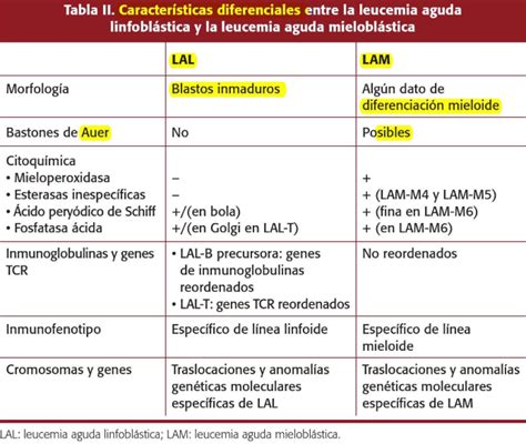 Leucemias Agudas Mind Map Porn Sex Picture