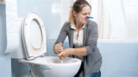 How To Remove Odours From Public Toilets Uk