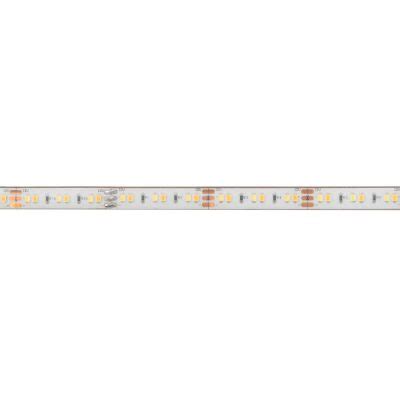 Robus VEGAS CCT2 12V Tunable LED Strip 1 Meter