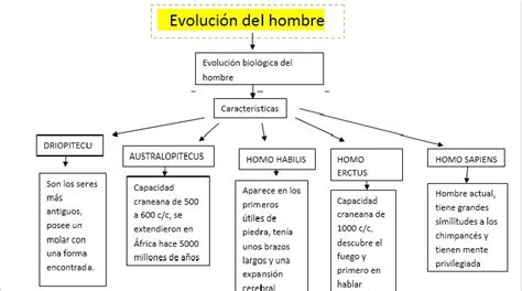 Mapa Mental De La Evolucion Del Hombre Tienes Que Saber Esto Images