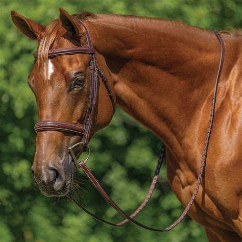 Schneiders® Raised Padded Hunter Bridle With Fancy Stitching Schneiders