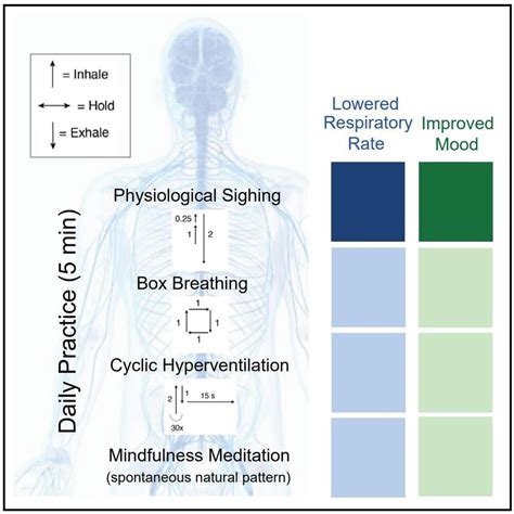 Study shows cyclic breathing technique more effective in reducing stress than mindfulness meditation