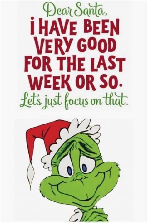 Pin by Lynn Barham on Awesome clips | Grinch quotes, Funny christmas ...