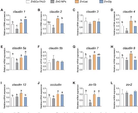 Figure 2 From Effects Of Different Dietary Zinc Zn Sources On Growth Performance Zn