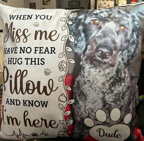 pawfect house reviews 3