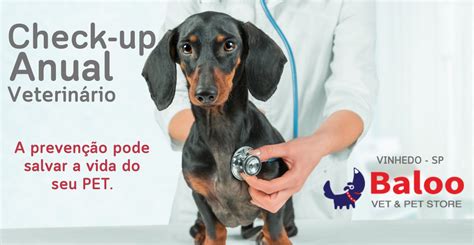 Check Up Anual Para Pet Baloo