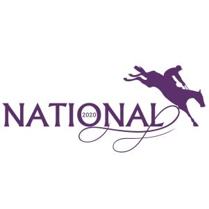 grand national  logo vector image