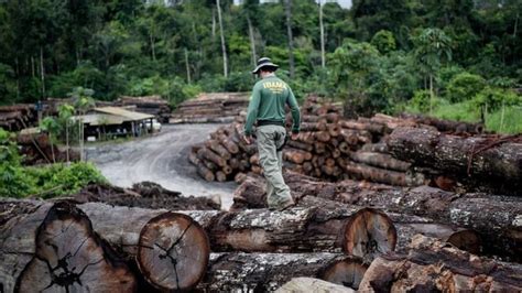 Os Projetos Herdados Da Ditadura Militar Que Amea Am Terras De