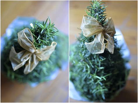 A Rosemary Christmas Tree From Trader Joe S Would Love To Make This A