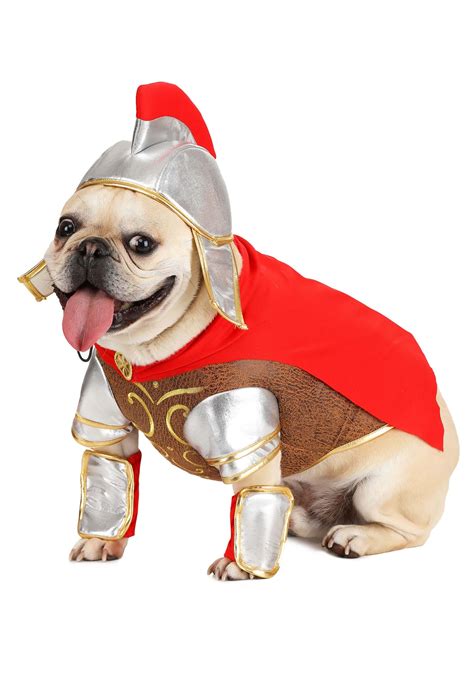 Gladiator Pet Costume