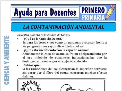 Ciencia Y Ambiente Para Primero De Primaria Ayuda Para Docentes