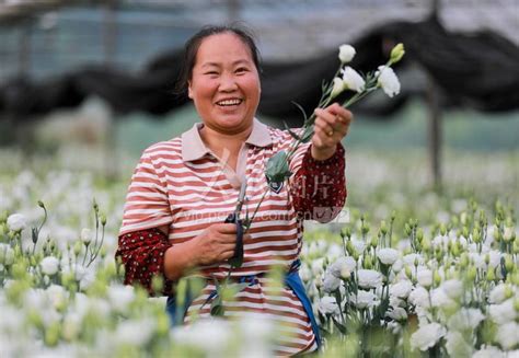 贵州黔西：“鲜花经济”助力乡村振兴 人民图片网