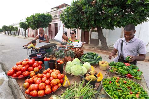 Les bienfaits nutritionnels d une alimentation saine et variée