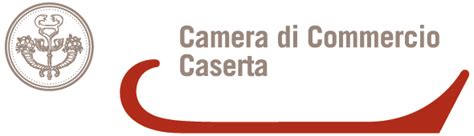 Sistema Informativo Excelsior Xi Indagine Mensile Camera Di