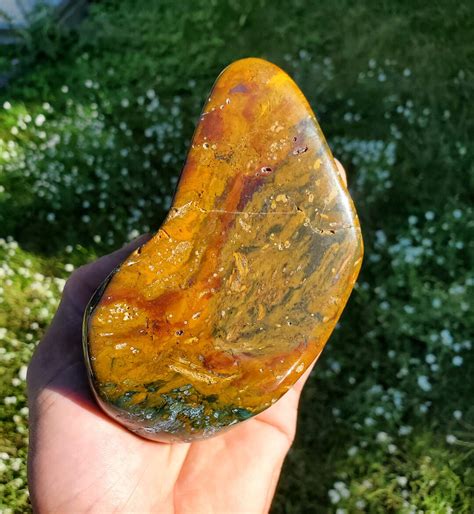 Giant Orange And Green Jasper Montana Tumbled Polished Petrified Wood