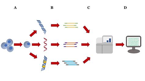 Introduction To Single Cell Sequencing Seqanswers