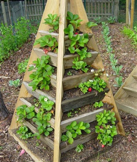 How To Build Cedar Strawberry Planter Plans Pdf Plans