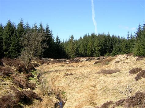 Small Clearing In The Forest Of Ae Iain Thompson Cc By Sa