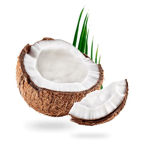 Coconut SicarFarms