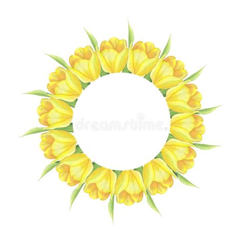 Watercolor Yellow Tulip Wreath Stock Illustrations 407 Watercolor