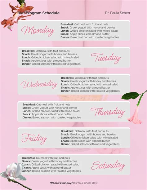 Diet Program Schedule Pink Template Venngage