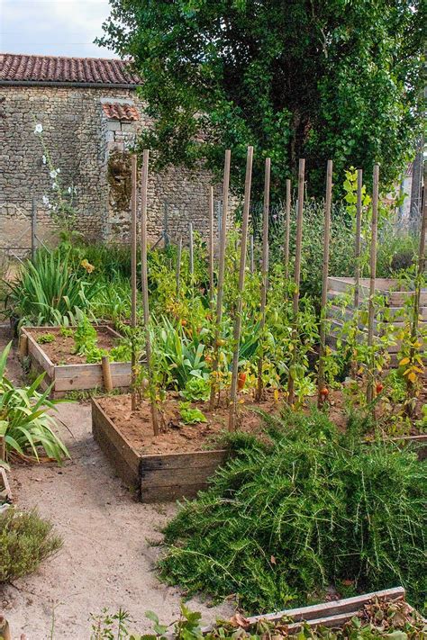 Et Si On Essayait La Permaculture Pour Un Jardin Plus Respectueux De La