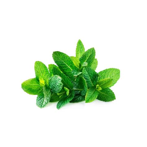 Mint - Office Catering™ Groceries, Fruit, Snacks, and Milk for ...