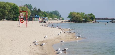 Best Nude Beaches In Ontario To Sun Your Buns This Summer